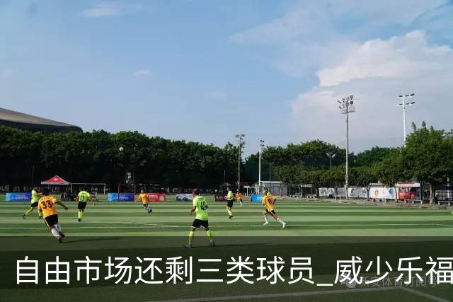 自由市场还剩三类球员 威少乐福领衔失业大军？